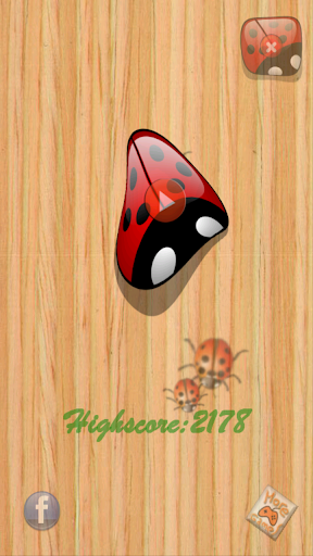 LadyBug Smasher