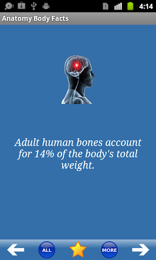 Anatomy Body Facts