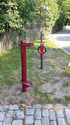 Unique Bicycle Stands