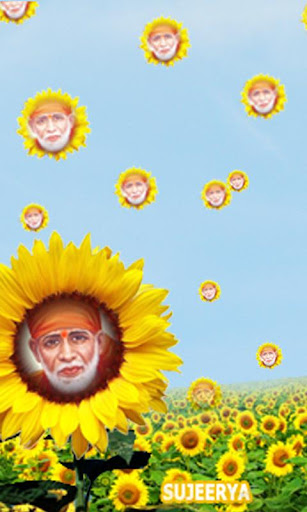 SAIBABA in Sunflower Garden