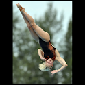 Diving illustrated logo