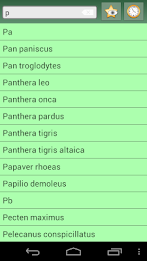 English Multiple Languages poster 5