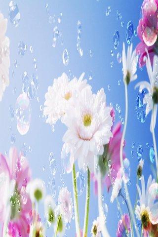 Spring Wallpapers HD