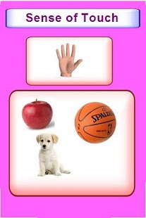 How to install Education - Five Senses lastet apk for pc
