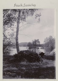 Fins landschap met een meer en naaldbomen.