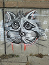 Граффити 'Кот'