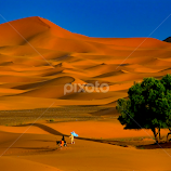 Golden dunes by Guy Gillade -  