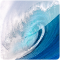 Surfing Wave logo