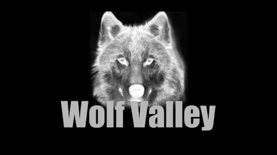 How to mod Wolves Valley 1.2 mod apk for android