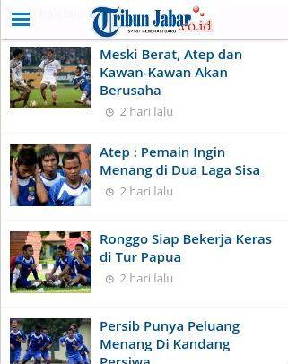 Persib Mania