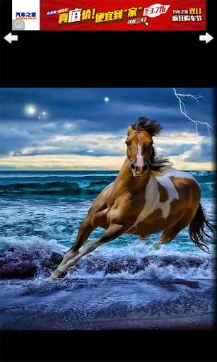 【免費媒體與影片App】Beautiful Horse Wallpaper-APP點子