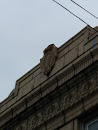 Owl On Building