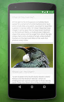 Birdlife of New Zealand Free APK صورة لقطة الشاشة #3