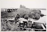 Rundveebedrijf met 65 melkkoeien