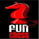 Fun Chess Free