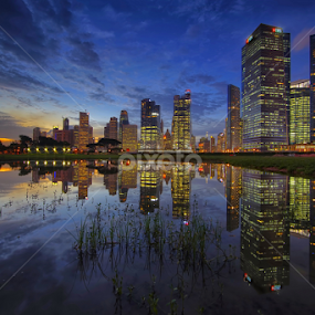 by Vince Chong - City,  Street & Park Skylines