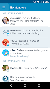 WordPress - screenshot thumbnail
