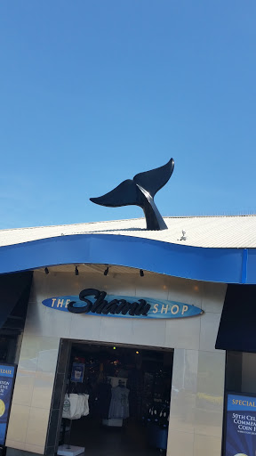 Whale Tail at Shamu Shop