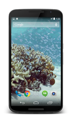 Sea Life Video Live Wallpaper