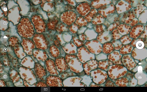 MotiConnect T Screenshots 4