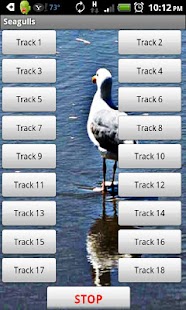 How to get Seagull 1.0 mod apk for pc