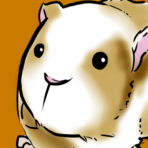 Guinea pig Stop Watch 3.4