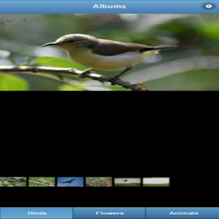 Lastest Stock Photo Freebies APK for PC