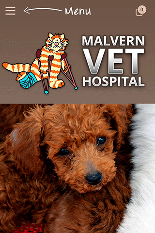 Malvern Veterinary Hospital