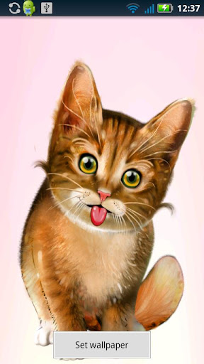 Screen Licking Cat Wallpaper