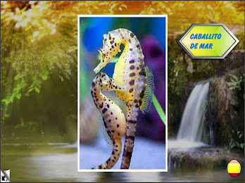 Educational flashcards poster 1