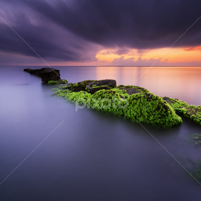 Mossy Rocks by Eggy Sayoga - Landscapes Sunsets & Sunrises
