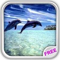 Изображения Wonderful Dolphins Water Touch на ПК с Windows