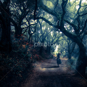 Hide and seek by Dan Ludeman - People Fine Art