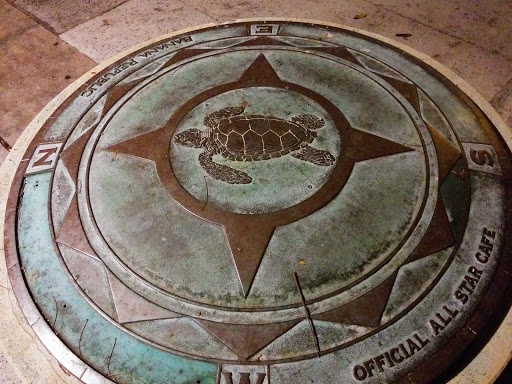 Bronze Honu Compass