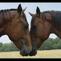 Horses Wallpapers logo