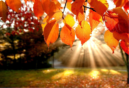 Download Golden Play APK for Android