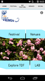 Tiger Dublin Fringe poster 1