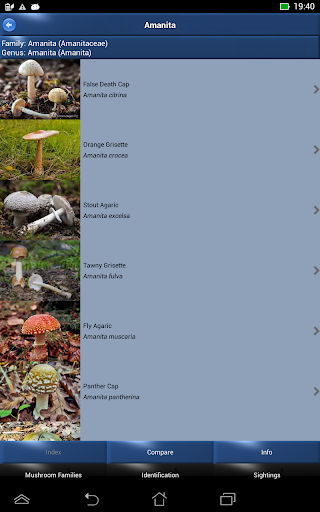 【免費書籍App】Mushroom Id - British Fungi-APP點子