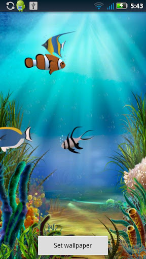 Fish Pond Live Wallpaper