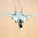 Grumman F-14 Tomcat PRO