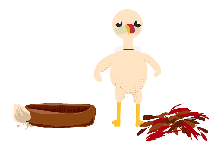 5. Give the Turkey Feathers!