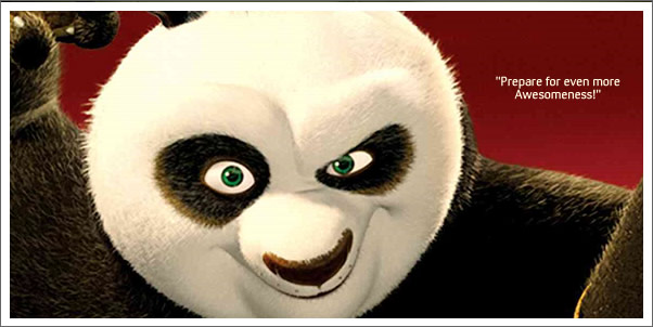 More Awesomeness and Bodaciousness!  Kung Fu Panda Sequel
