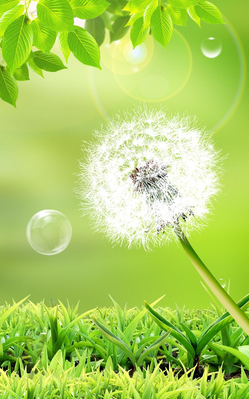 Dandelion Live Wallpaper Screen 2