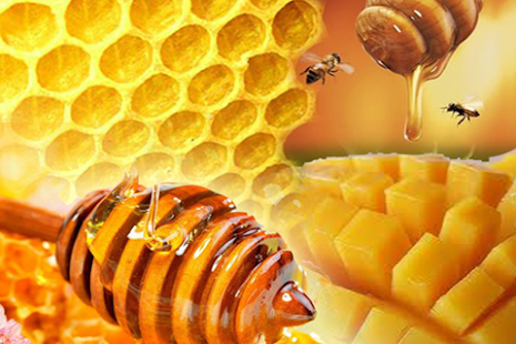 Free Tips Sehat Ala Rosul APK for Android