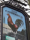 The Gamecock of Hulme