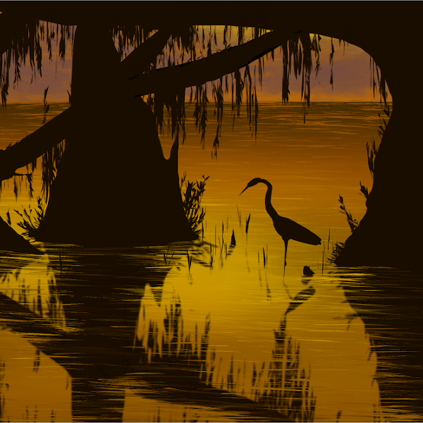 Swamp » drawings » SketchPort