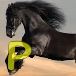Cover Image of Download Horse Premium HD Wallpaper 1 APK