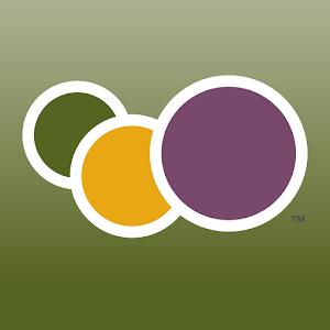 Manager Mobile.apk 2.0.1027