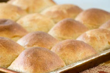 Speedy Whole Wheat Rolls