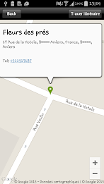 Fleurs des prés poster 15